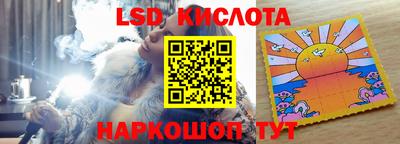 прущие грибы Краснокаменск