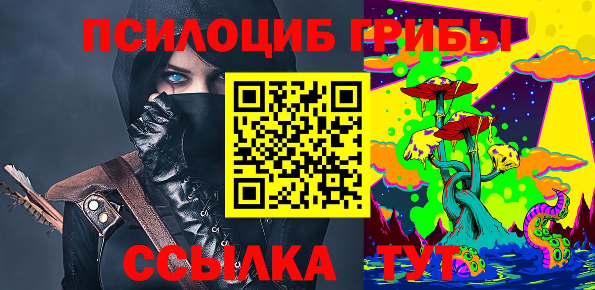 Псилоцибиновые грибы Cubensis Узловая