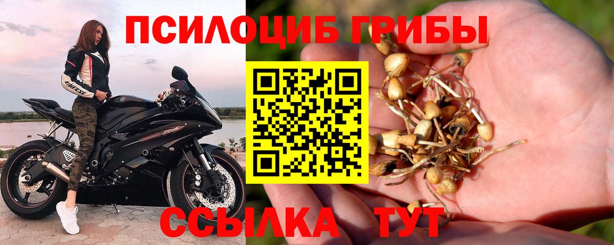 Псилоцибиновые грибы мицелий  Псилоцибиновые грибы Psilocybine cubensis  Вход с VPN  Узловая 